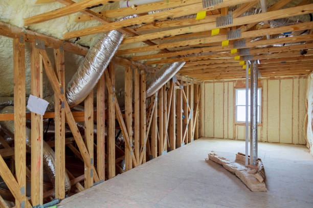 Best Local Insulation Services  in Lantana, TX
